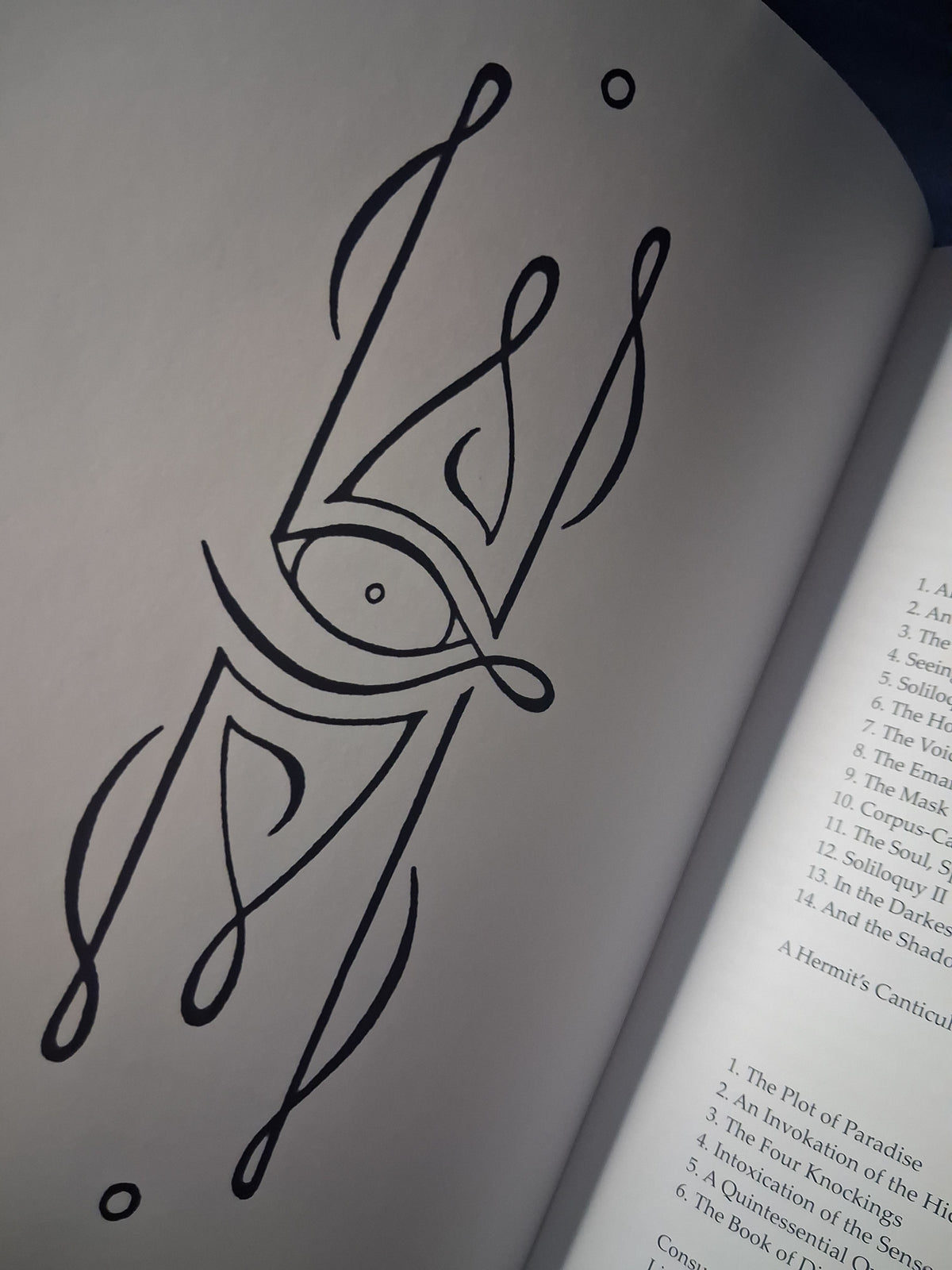 Whisperings from the Void by Patrick John Larabee – Deluxe Leather Bound Limited Edition
Number 1 of 33