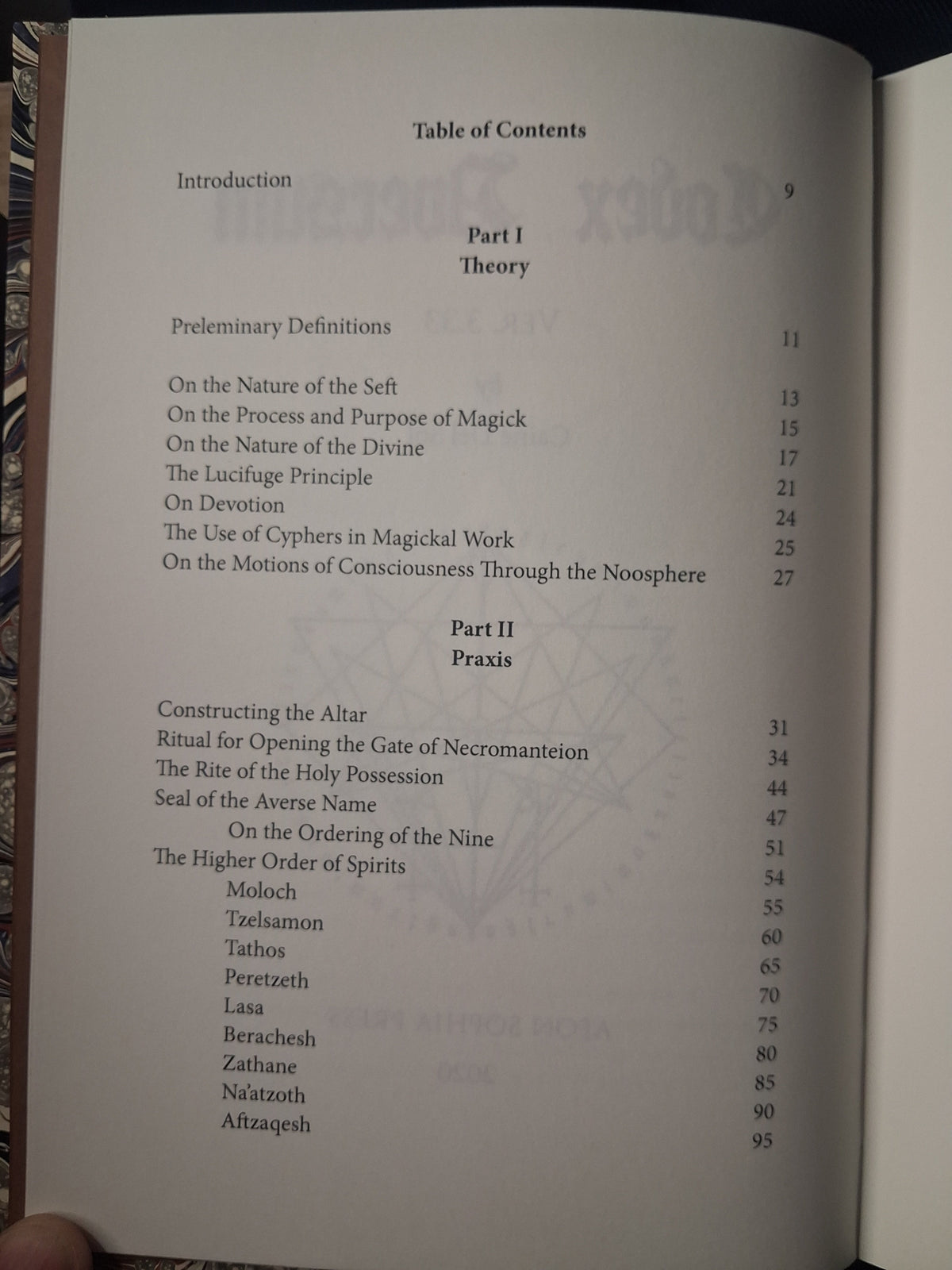Codex Aversum (Devotee Edition) by Caine Del Sol – Occult Grimoire