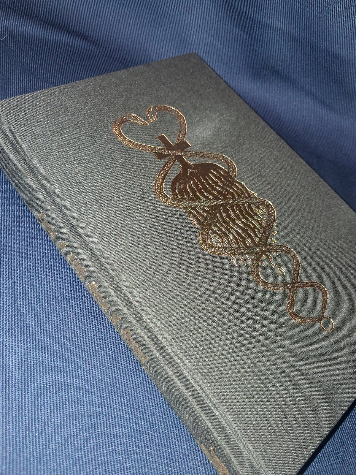 Lyrics of Lilith, Songs of Samael: The Serpent Siddur of the Nachash El Acher by Matthew Wightman – Anti-Cosmic Gnostic Ritual Book