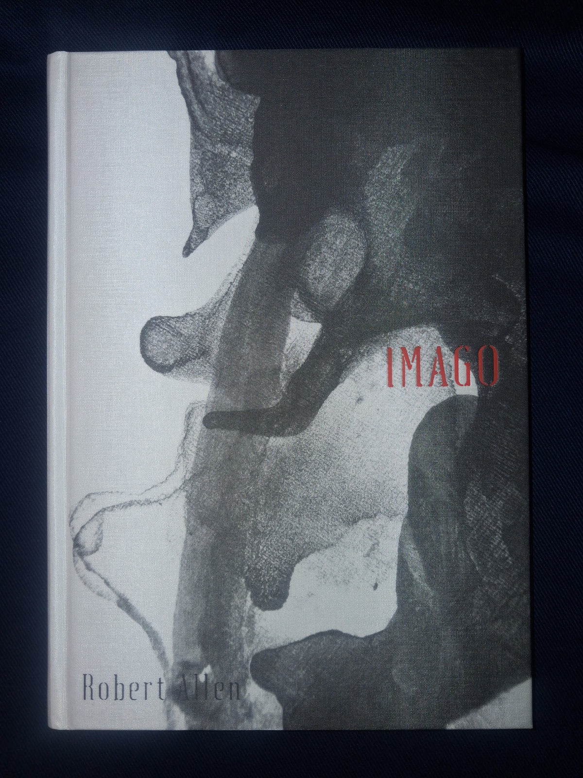IMAGO: Body. Vision. Magick. by Robert H. Allen (Cloth Hardcover Edition) – Ceremonial Magic & Visionary Art